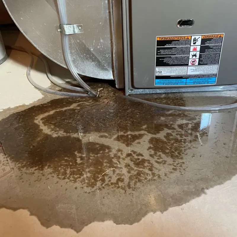 Pipe Burst and Leak Restoration in Telfair County, GA