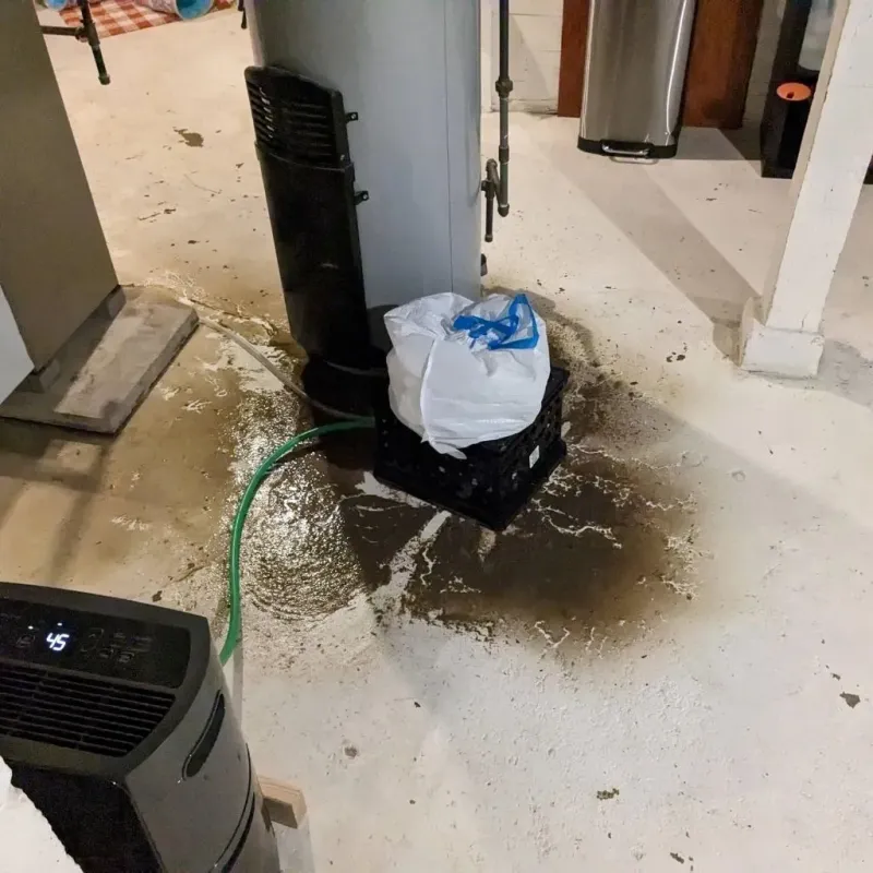 Sewage Backup Cleanup Service in Telfair County, GA